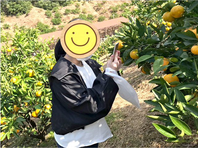 外出イベント(ミカン狩り)